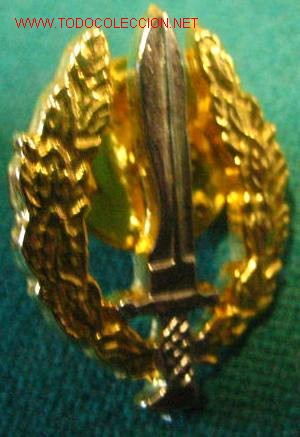 Militaria: Pin - Foto 1