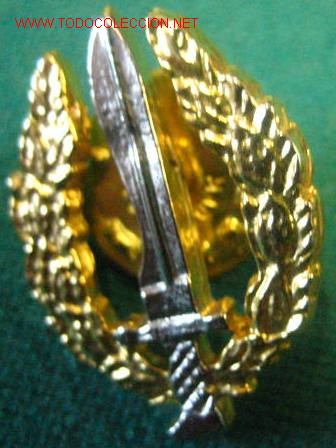 Militaria: Pin - Foto 1