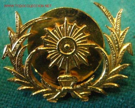 Militaria: Pin - Foto 1