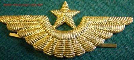 Militaria: Alas de gorra de plato rusa - Foto 1