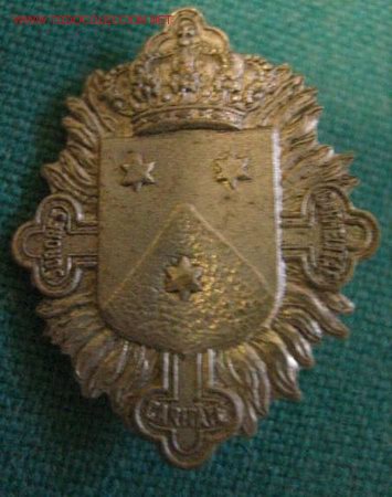 Militaria: Insignia aguja - Foto 1