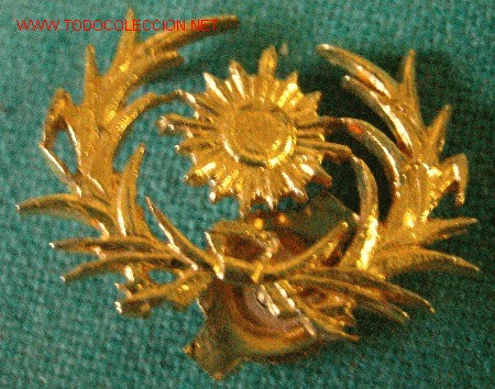 Militaria: Insignia Intendencia - Foto 1