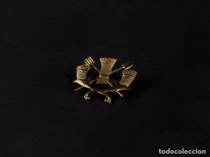 Militaria: INSIGNIA CON PALA Y HORCA - Foto 1
