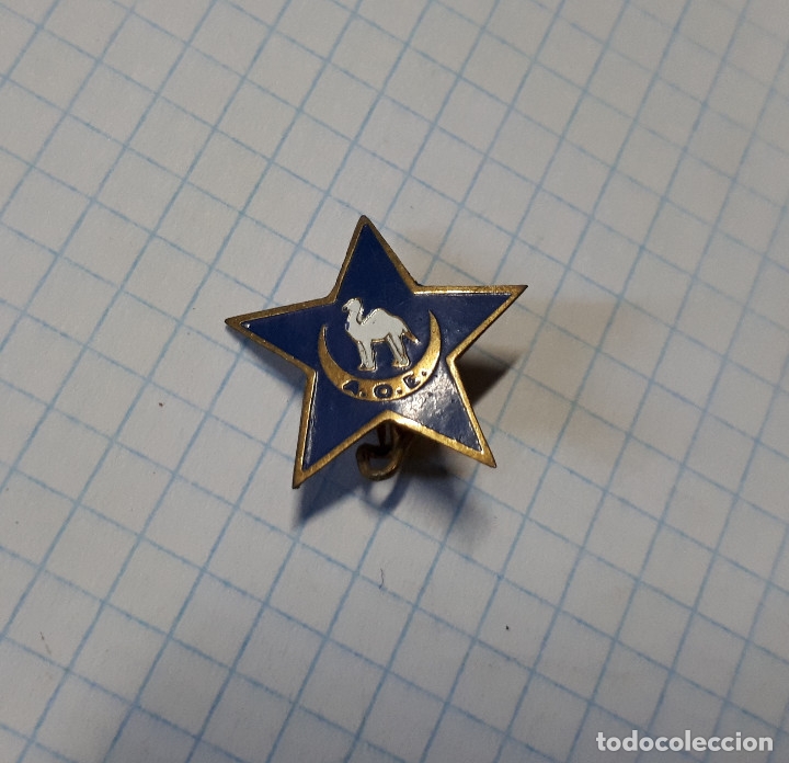 Militaria: Insignia esmaltada AOE de aguja - Foto 1