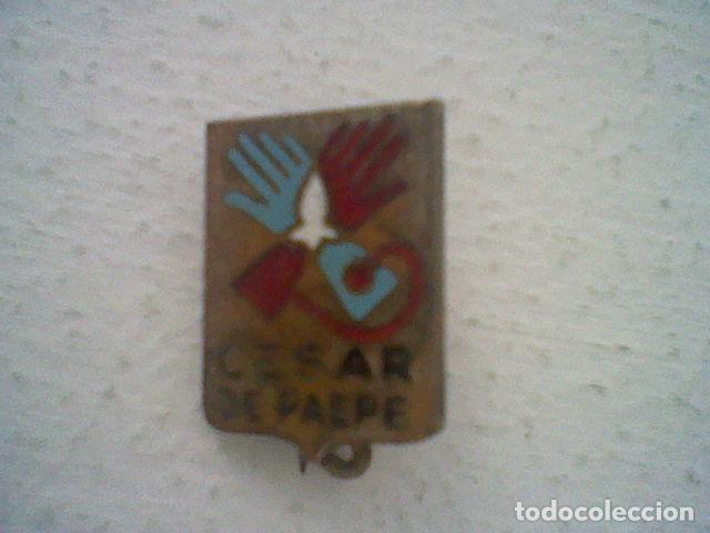 Militaria: CESAR DE PAEPE INSIGNIA 1,3 CMS ALTO POLITICO SOCIALISTA BELGICA ESMALTE