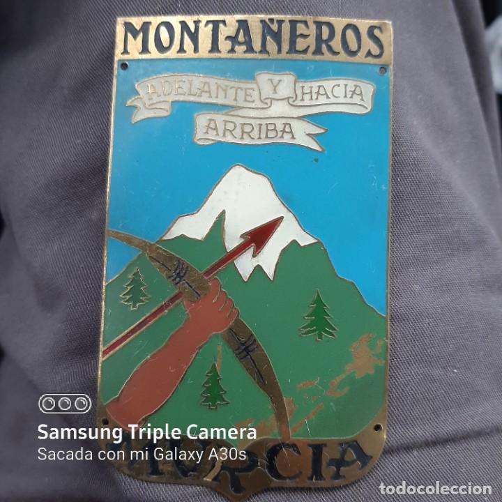 Militaria: Escudo brazo de centuria - Foto 1