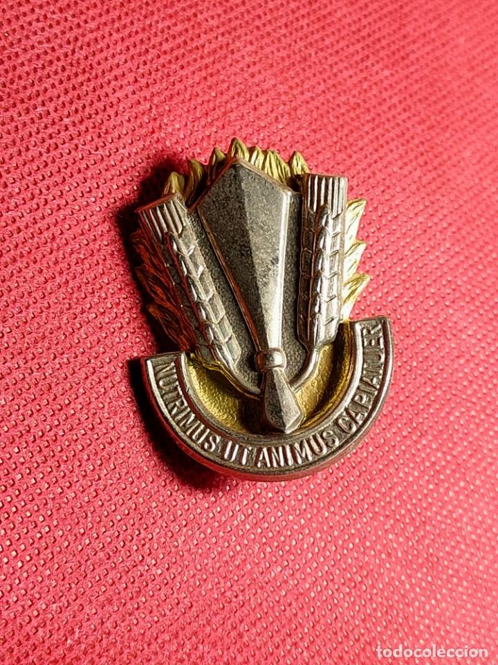 Militaria: INSIGNIA LOGISTICA Y APOYO - Foto 1