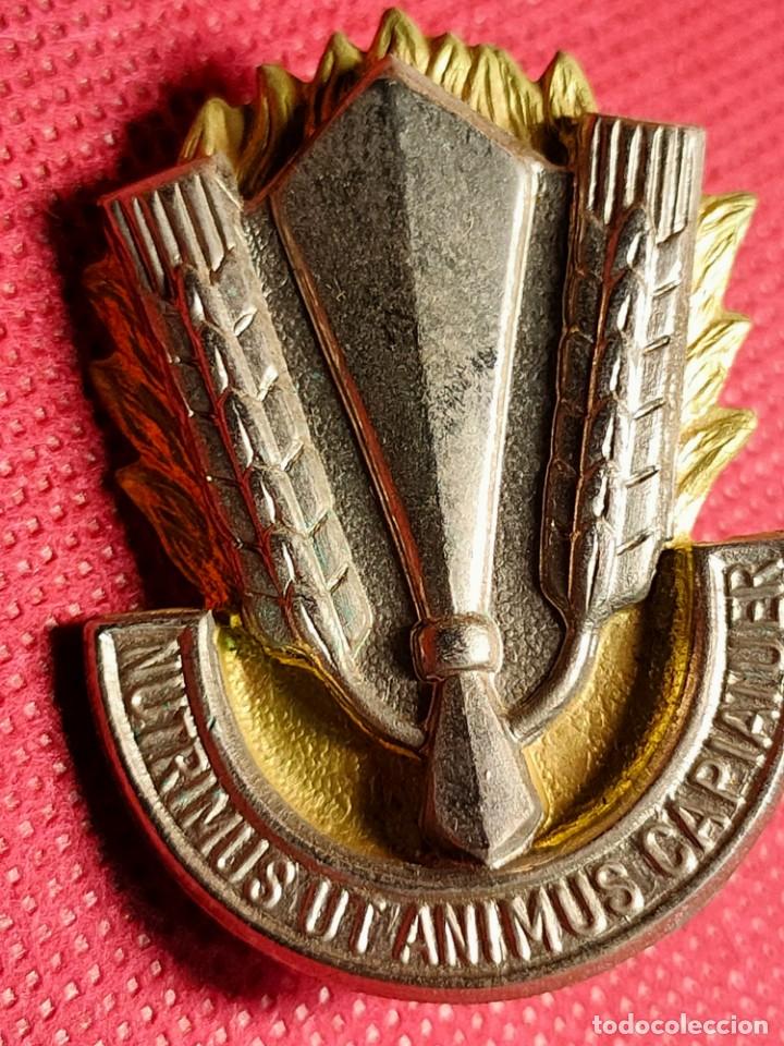 Militaria: INSIGNIA LOGISTICA Y APOYO - Foto 2