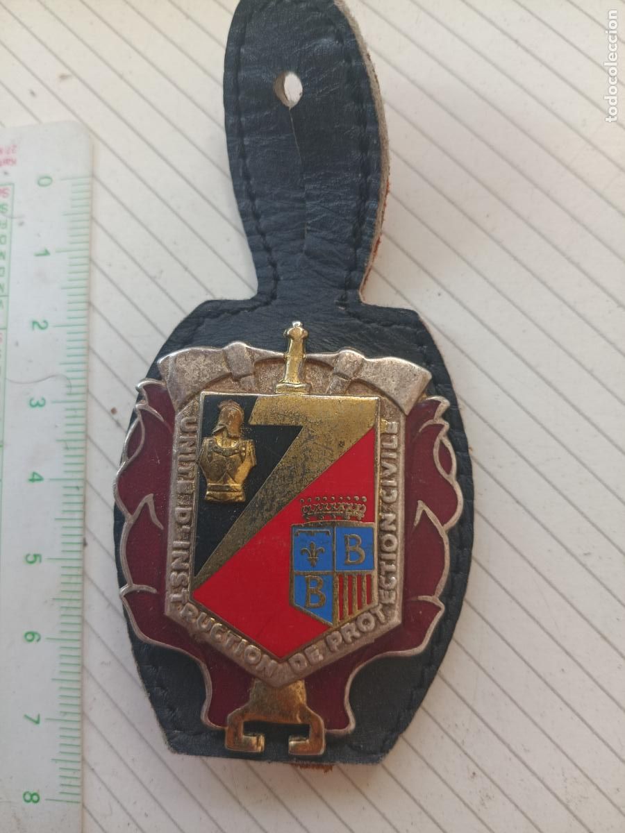 Militaria: FRANCIA, PEPITO / INSIGNIA UNIDAD DE INSTRUCCION DE SEGURIDAD CIVIL DE FRANCIA, BOMBEROS