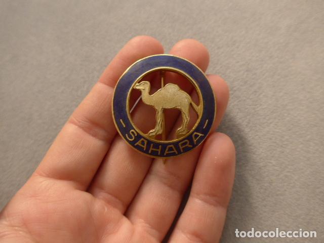 Militaria: Antigua insignia o emblema del Sahara, camello, Africa Occidental Espa&ntilde;ola.