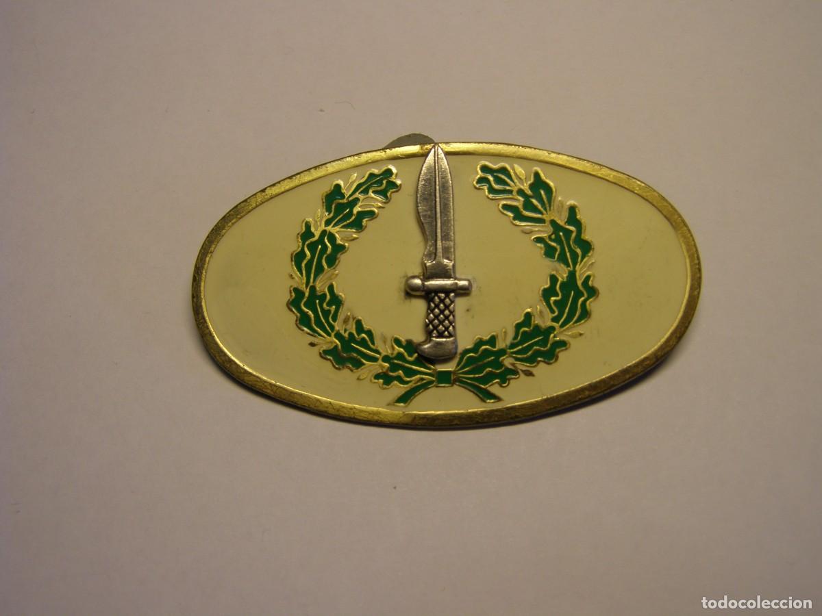 Militaria: Insignia de pecho ba&ntilde;era de las COES, a&ntilde;os 60-70. Original de &eacute;poca.