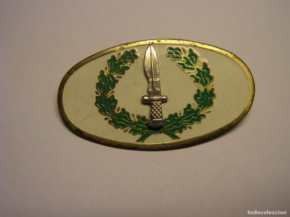 Militaria: Insignia de pecho ba&ntilde;era de las COES, a&ntilde;os 60-70. Original de &eacute;poca.