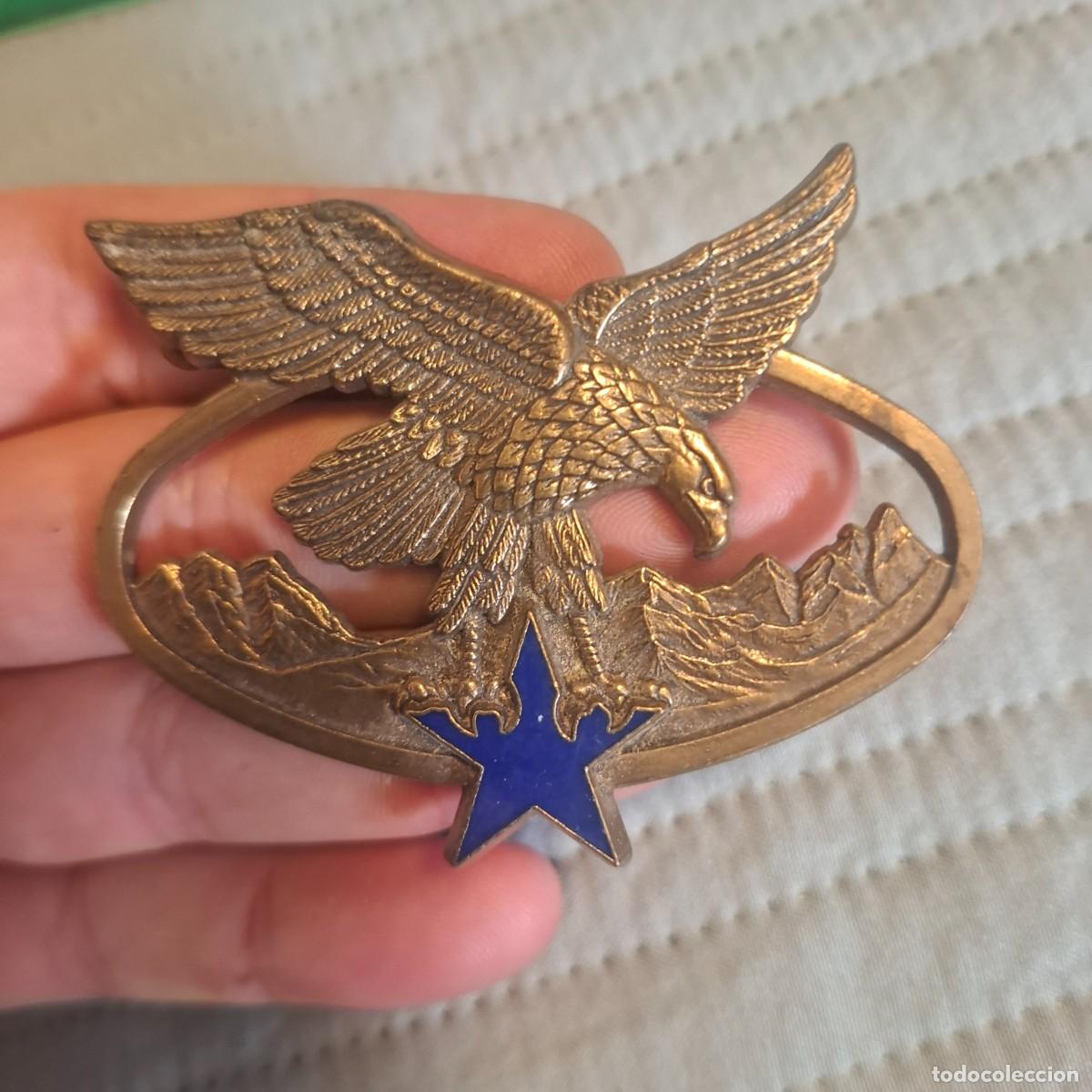 Militaria: Insignia de Tropa de Monta&ntilde;a .categor&iacute;a bronce. EJERCITO FRANCES
