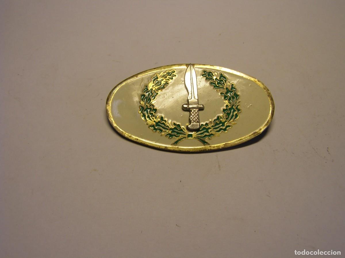 Militaria: Insignia de pecho ba&ntilde;era de las COES, a&ntilde;os 60-70. Original de &eacute;poca.