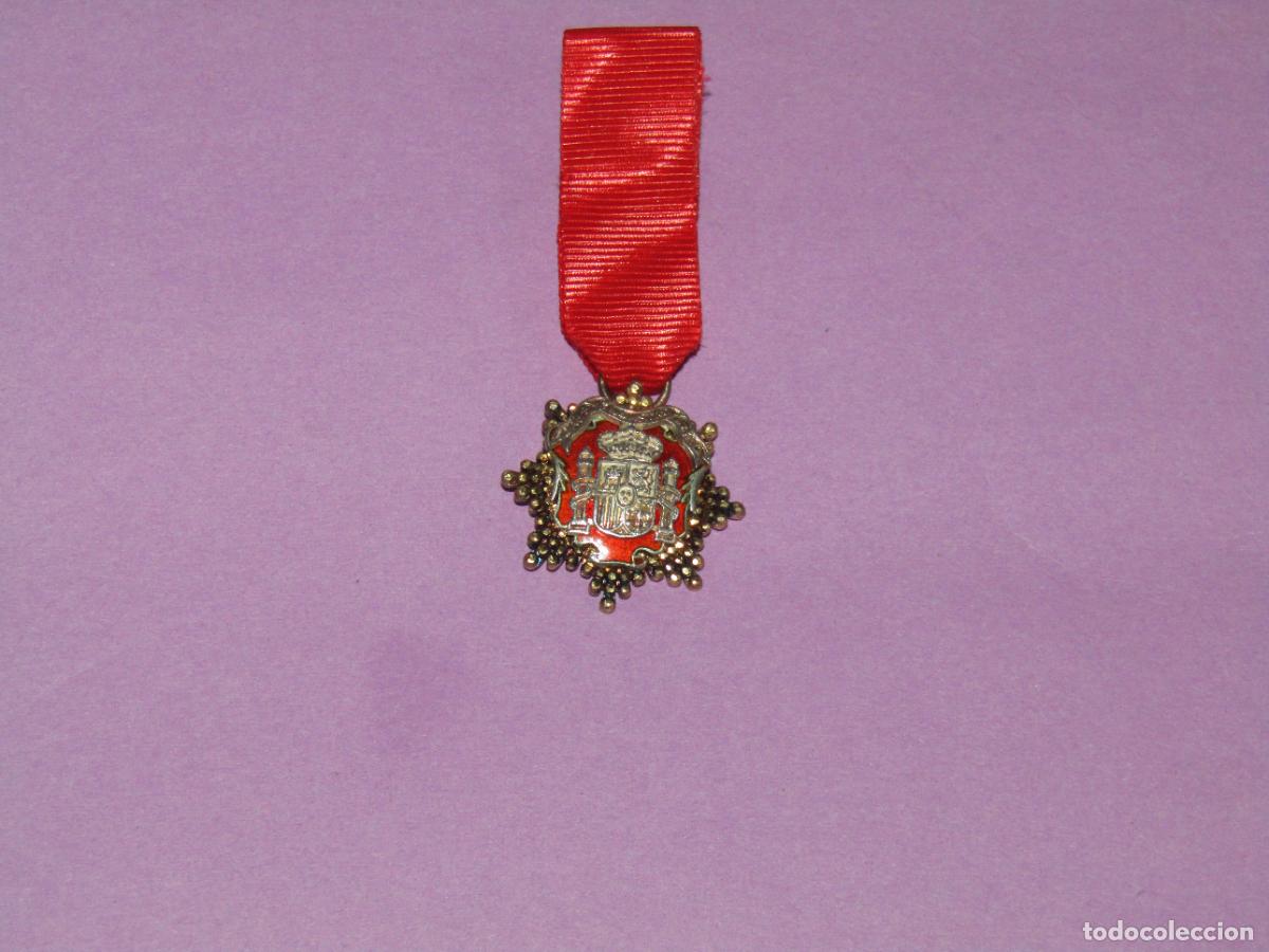Militaria: Antigua Miniatura de Condecoraci&oacute;n Acad&eacute;mica, Doctor o Similar para Ojal