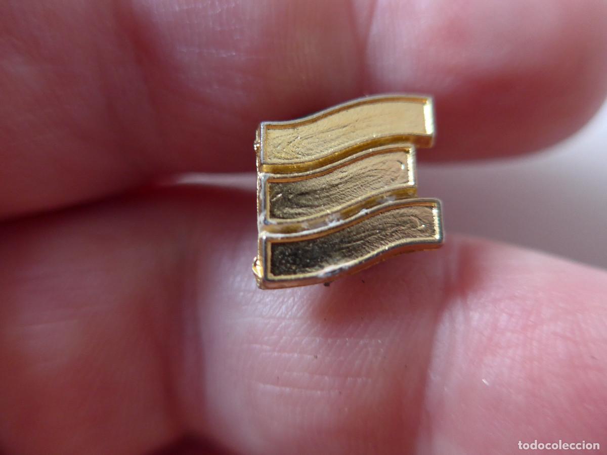 Militaria: PIN INSIGNIA POSIBLEMENTE ESPA&Ntilde;OLA DESCONOZCO