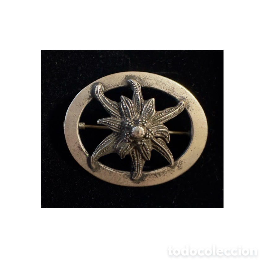 Militaria: A&ntilde;os 30-40, flor edelweiss. Broche o emblema de esta famosa flor alpina.
