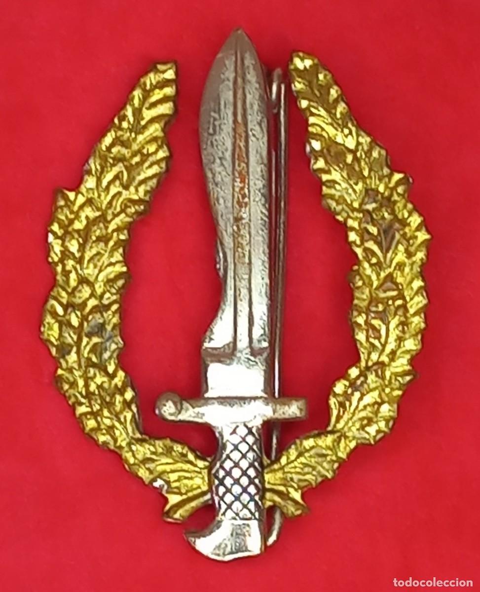 Militaria: EMBLEMA , DISTINTIVO DE ALFILER DE LAS COE , COMPA&Ntilde;IA OPERACIONES ESPECIALES , DEL EJERCITO ESPA&Ntilde;OL