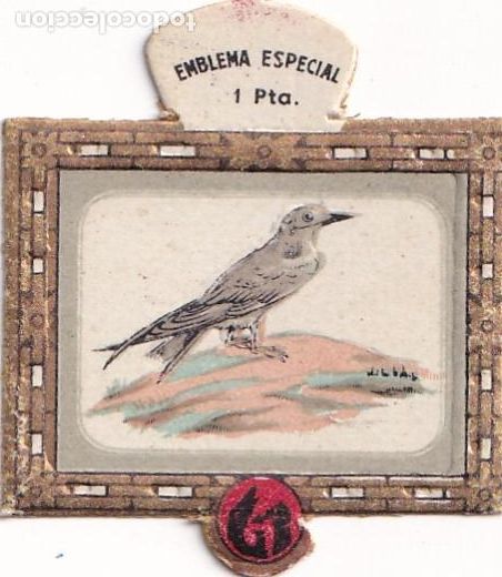 Militaria: Emblema auxilio social, ESPECIAL 1 PTA, serie P, N&ordm; 1, STERUA NIGRA