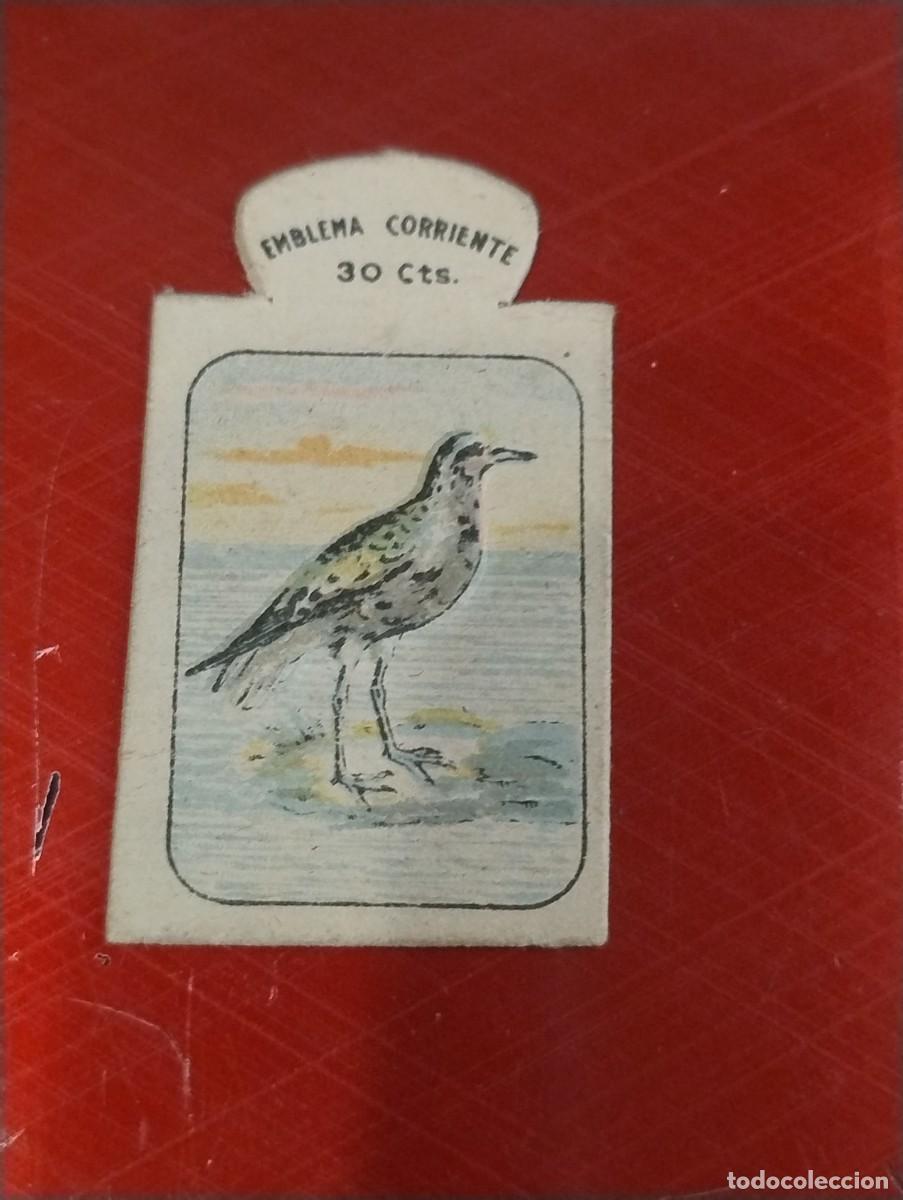 Militaria: VANELLUS MELANOGOSTER AUXILIO SOCIAL CORRIENTE SERIE P 3 EMBLEMA INSIGNIA GUERRA CIVIL POSGUERRA