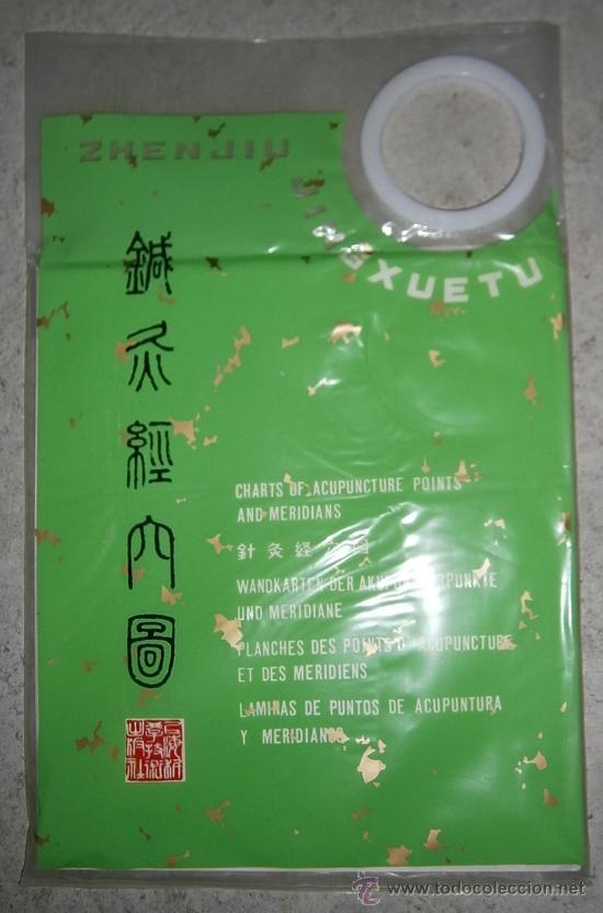 Militaria: L&aacute;minas de puntos de acupuntura y meridianos, Casa Editora de Ciencias y tecnolog&iacute;a de Shangai