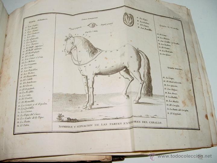 Military Antiques: ANTIGUO LIBRO DE TACTICA DE CABALLERIA - FINALES DEL SIGLO XVIII PRINCIPIOS DEL XIX - CONTIENE 73 GR
