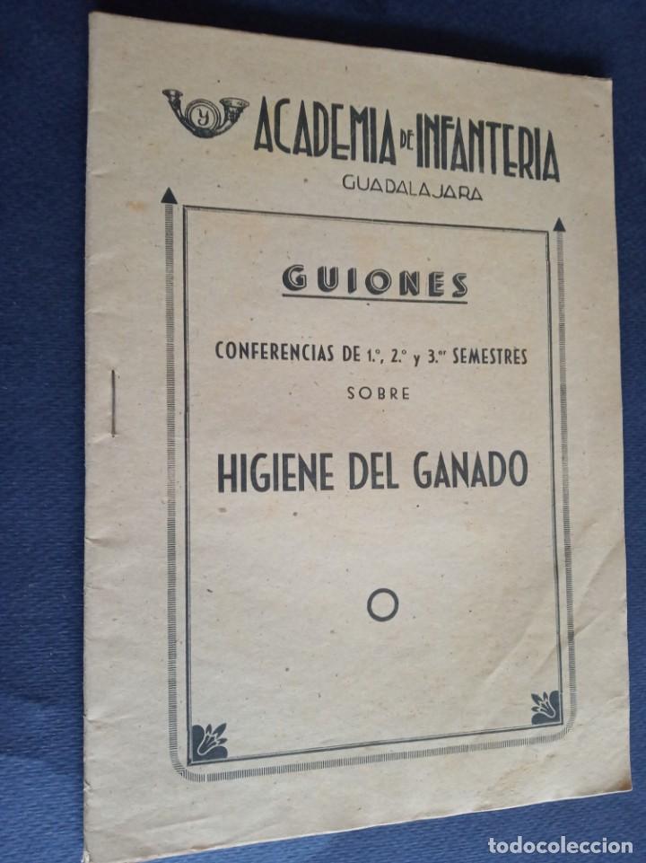 Military Antiques: guiones - higiene del ganado - 5&ordm; grupo - 3&ordm; semestre - academia de infanteria - guadalajara