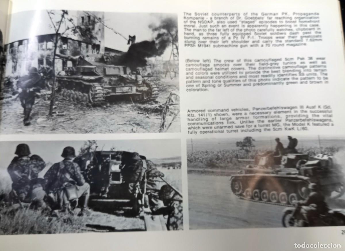 Militaria: Waffen SS - Foto 3