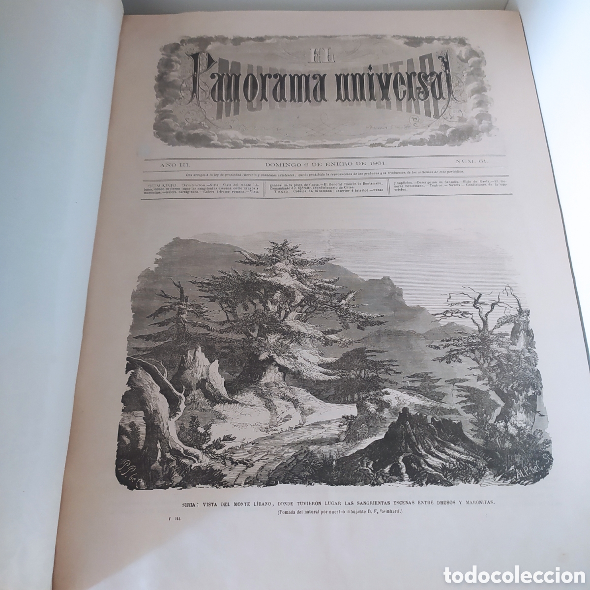 Militaria: El mundo militar 1861completo .Panorama universal