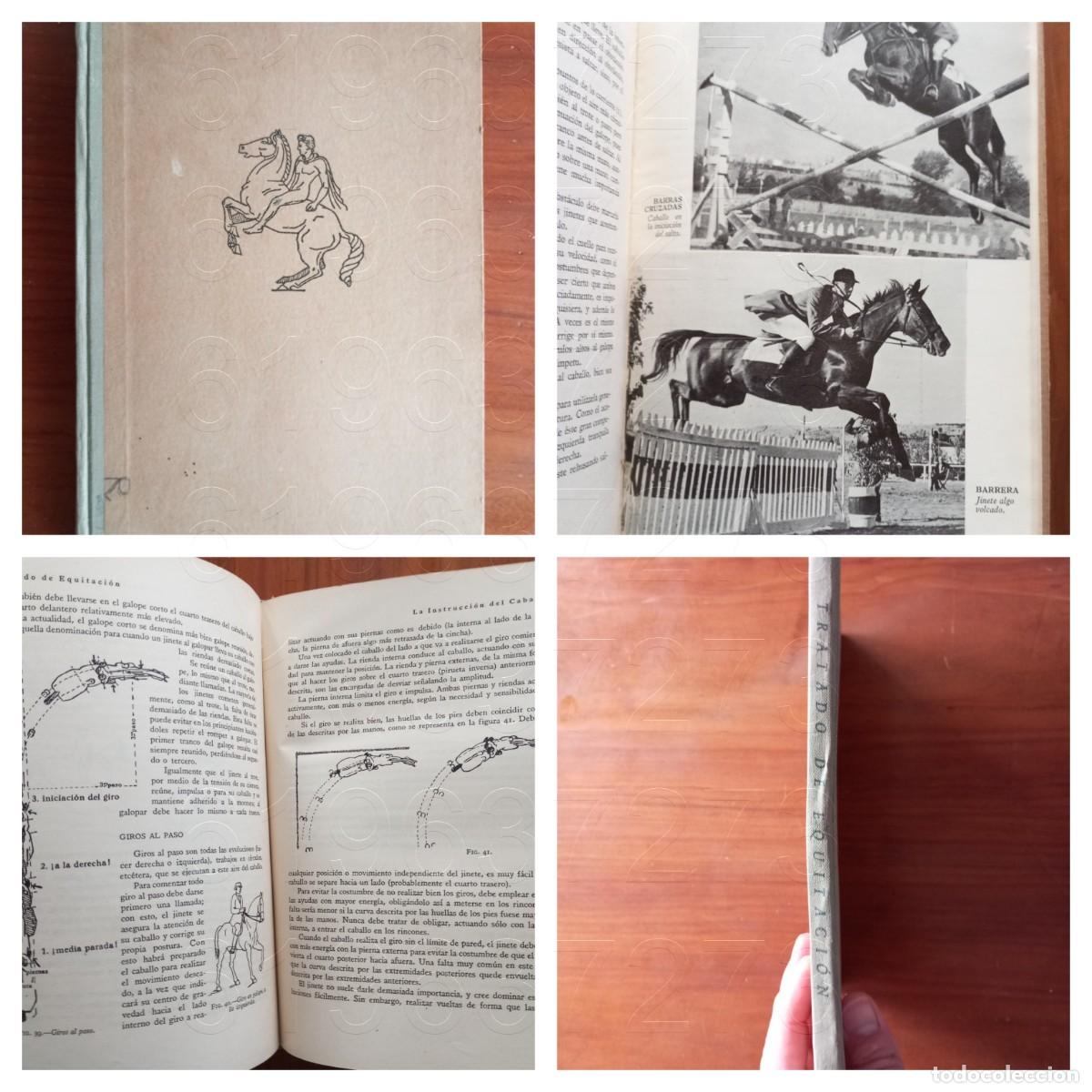 Militaria: EQUITACION MANUAL DE WILHELM MUESELER 1947 U97