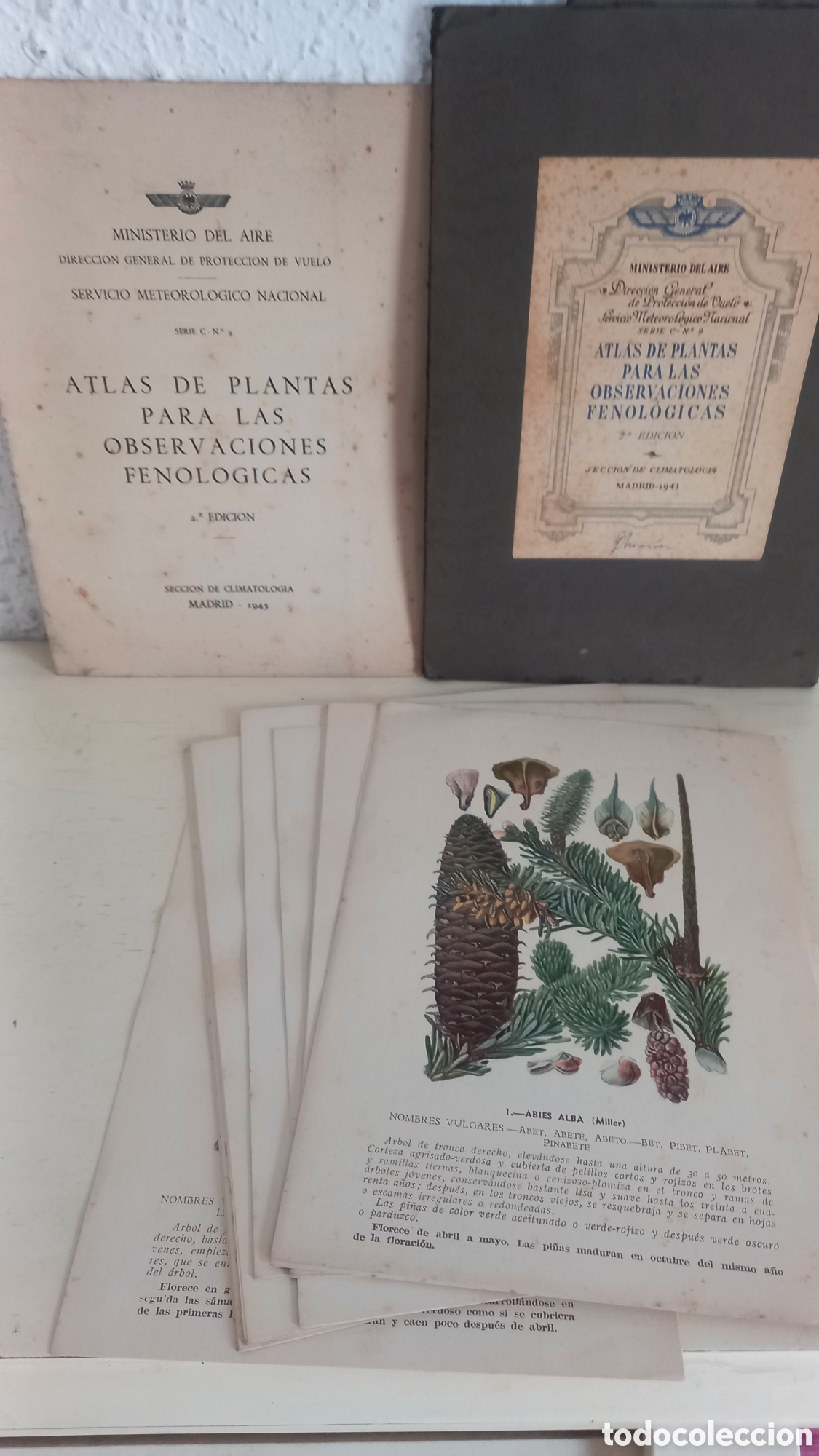 Militaria: ATLAS DE PLANTAS PARA LAS OBSERVACIONES FENOLOGICAS, MINISTERIO DEL AIRE 1943 CLIMATOLOGIA