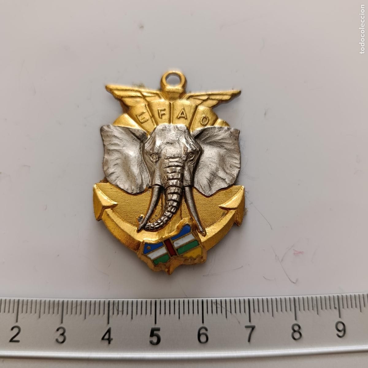 Militaria: INSIGNIA MILITAR. EFAO ESCUADR&Oacute;N EXTRANJERO DE &Aacute;FRICA. EJERCITO. FRANCIA