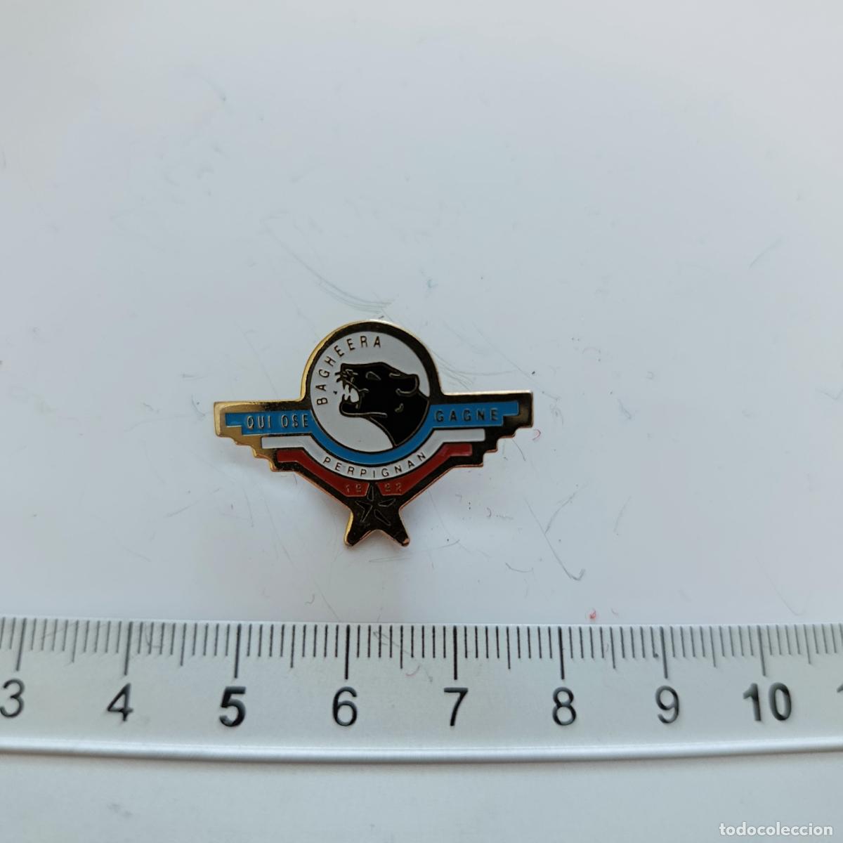 Militaria: PIN INSIGNIA MILITAR. CONMEMORACION CONGRESO DE PERPIGNAN, FRANCIA