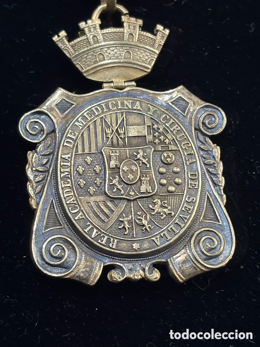 Militaria: Medall&oacute;n de cuello - Real Academia de Medicina y Cirug&iacute;a de Sevilla con corona Mural -