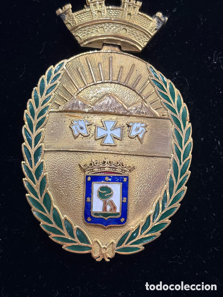 Militaria: Medall&oacute;n de Cuello de la Academia de Ciencias Veterinarias de Madrid - con Corona Mural -