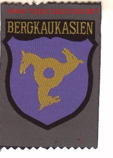Military Antiques: Parche bordado, tropas extrangeras en la Whermatch. Bergkaukasien .