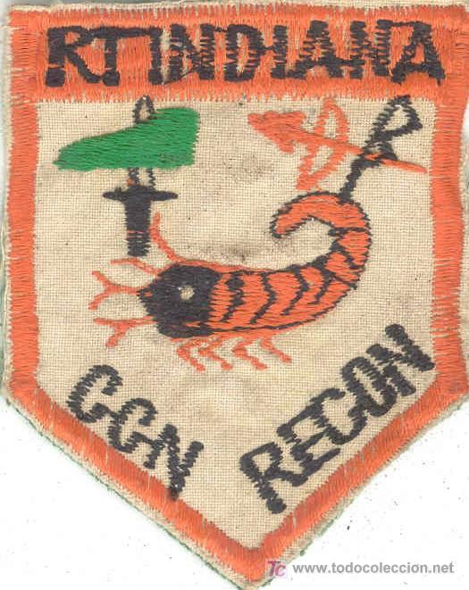 Militaria: Guerra del Vietnam. Parche de Fuerzas Especiales USA  bordado a mano localmente