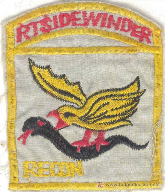 Military Antiques: Guerra del Vietnam. Parche de Fuerzas Especiales USA  bordado a mano localmente