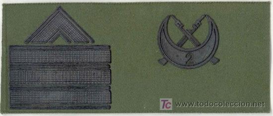 Military Antiques: Sargento de 1&ordf;. Regulares. 2&ordm; T&aacute;bor. Graduaci&oacute;n.