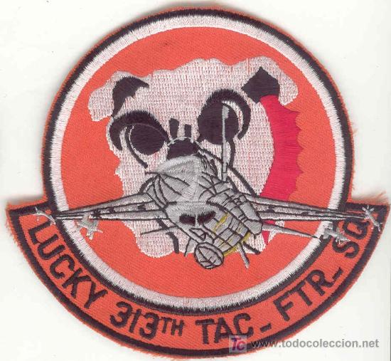 Military Antiques: ESTADOS UNIDOS.  US Air Force. Lucky 313th Tac  Ftr Sq.