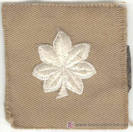 Military Antiques: ESTADOS UNIDOS. US Army. Graduaci&oacute;n