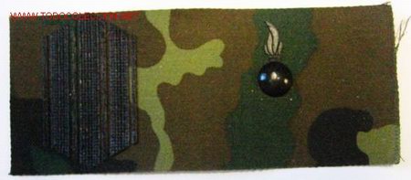 Militaria: Parche de pecho - Foto 1
