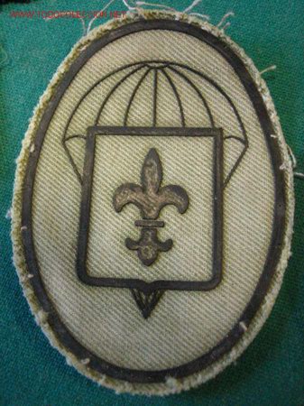 Militaria: Parche de pecho. - Foto 1