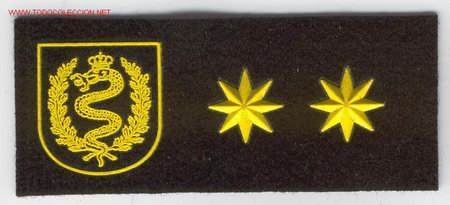Militaria: PARCHE EMBLEMA DE PECHO DE TENIENTE CORONEL BRIGADA CASTILLEJOS.