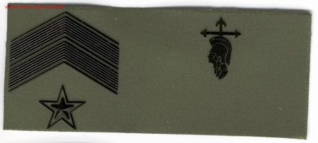 Military Antiques: PARCHE EMBLEMA SUBOFICIAL MAYOR ACADEMIA DE SUBOFICIALES PECHO VERDE.