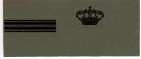 Militaria: PARCHE EMBLEMA TIRA DE PECHO VERDE CABO 1&ordm; GUARDIA REAL.