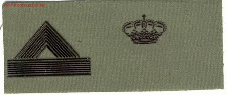 Militaria: PARCHE EMBLEMA TIRA DE PECHO VERDE CABO MAYOR GUARDIA REAL.