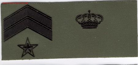 Militaria: PARCHE EMBLEMA TIRA DE PECHO VERDE SUBOFICIAL MAYOR GUARDIA REAL.