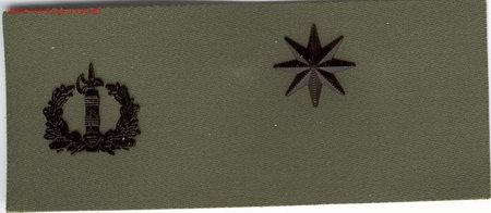Militaria: PARCHE EMBLEMA TIRA DE PECHO VERDE COMANDANTE SERVICIO JUR&Iacute;DICO.