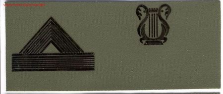 Militaria: PARCHE EMBLEMA TIRA DE PECHO VERDE CABO MAYOR M&Uacute;SICA.